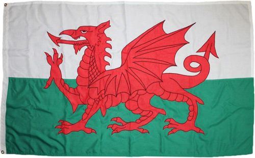 1.5yd 54x27.5in 137x68cm Welsh Dragon (woven MoD fabric)